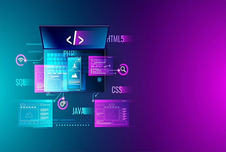 Custom Website Development